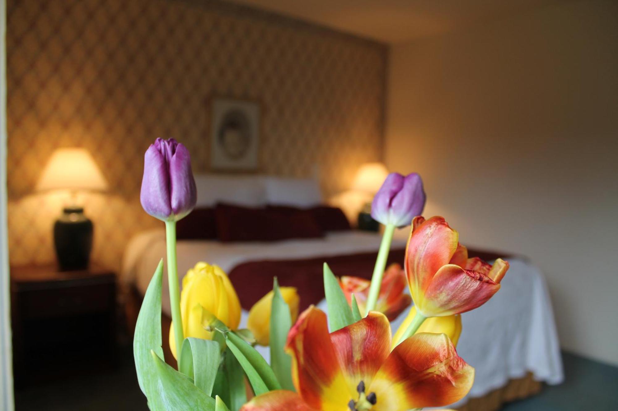 Auld Holland Inn Oak Harbor Room photo